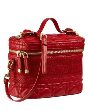 Christian Dior The Leather Vanity Bag Red