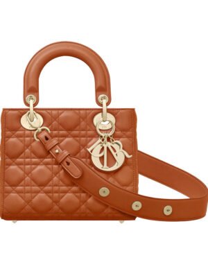 Christian Dior Lady Dior Bag 2017 Light Coffee