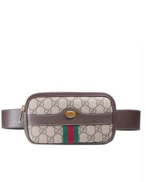 Gucci Ophidia GG Supreme belted iPhone case 519308 Dark Coffee