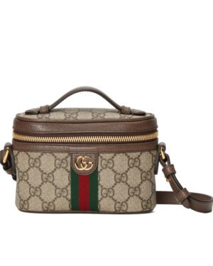 Gucci Ophidia GG Top Handle Mini Bag 699532 Dark Coffee