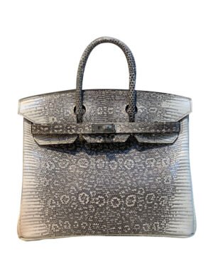 Hermes Birkin 25 Ombre Lizard Palladium Hardware Cream