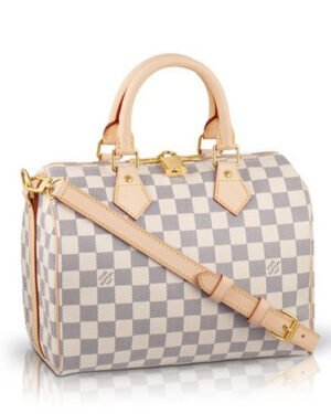 Louis Vuitton Damier Speedy N41000 White