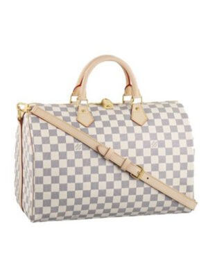 Louis Vuitton Damier Speedy N41002 White