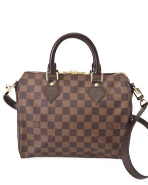 Louis Vuitton Damier Speedy N41181 Brown