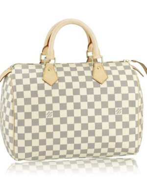 Louis Vuitton Damier Canvas Speedy N41535 White