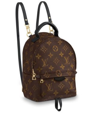 Louis Vuitton Monogram Palm Springs Backpack Mini Bag M41562 Brown
