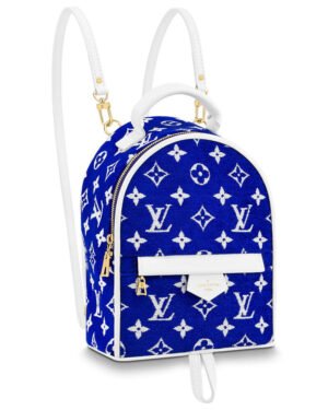 Louis Vuitton Palm Springs Mini M46207 Blue