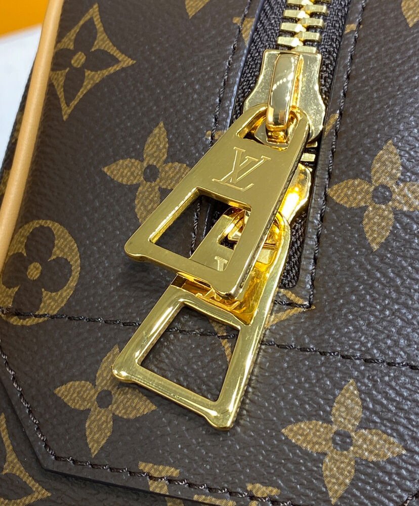 Louis Vuitton Cite M46321 Brown - Image 7