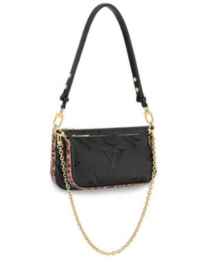 Louis Vuitton Multi Pochette Accessoires