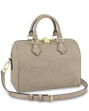 Louis Vuitton Speedy Bandouliere 20 M58953 M59273 Gray