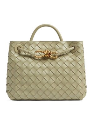 Bottega Veneta Small Andiamo