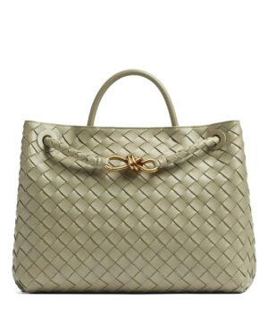 Bottega Veneta Medium Andiamo